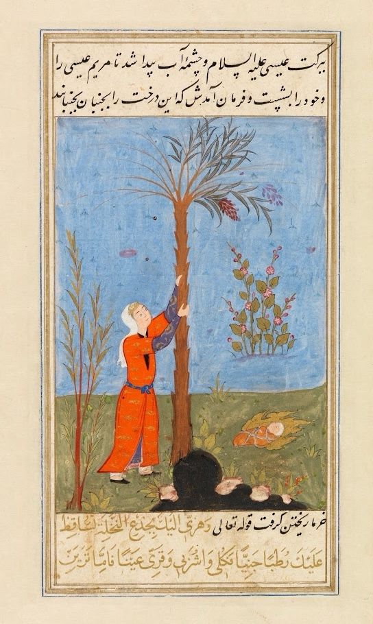 The Ancient Significance of Date Palms in History