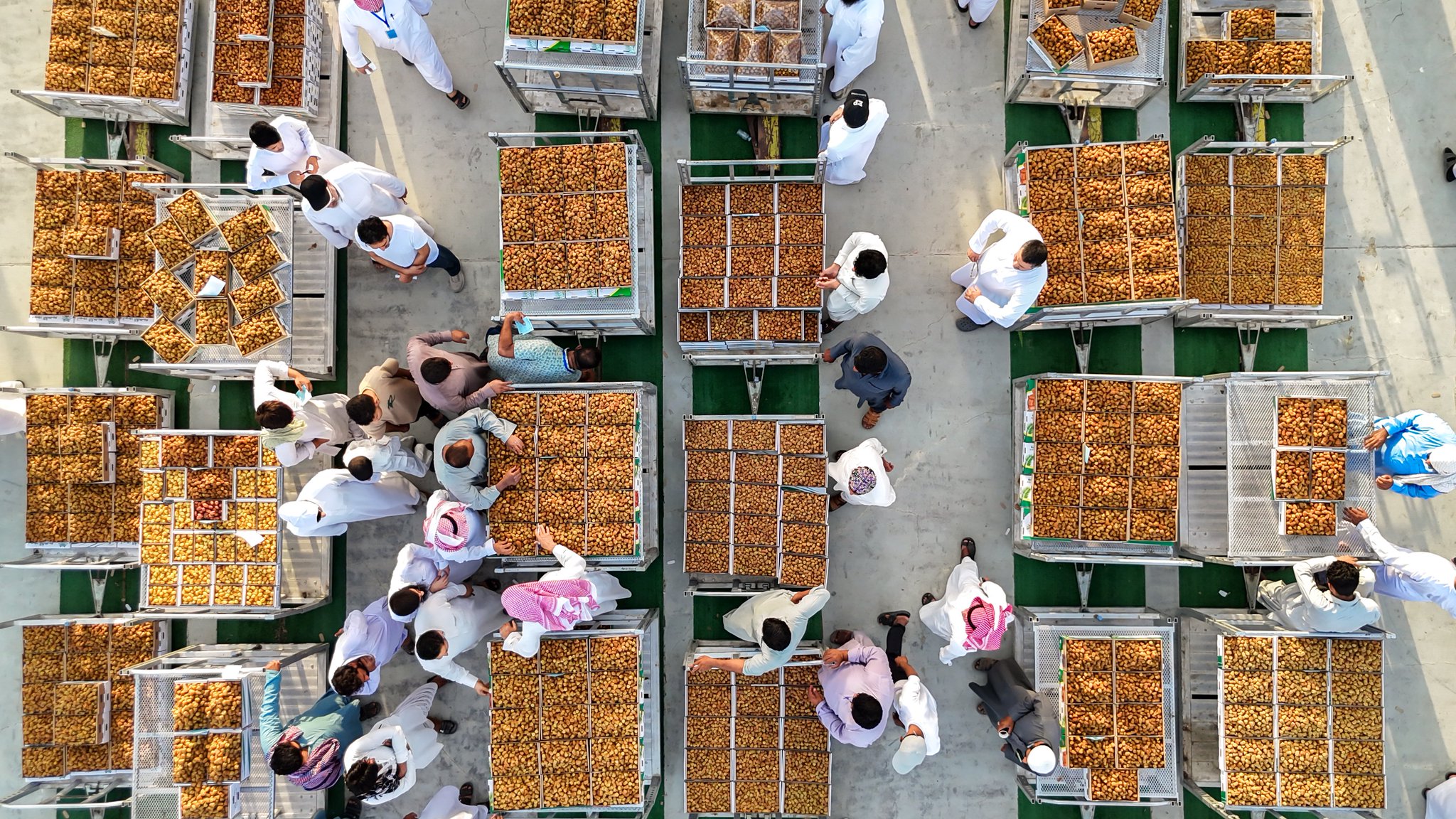 2025 Al Qassim Date Festival: A Celebration of Culture and Economy