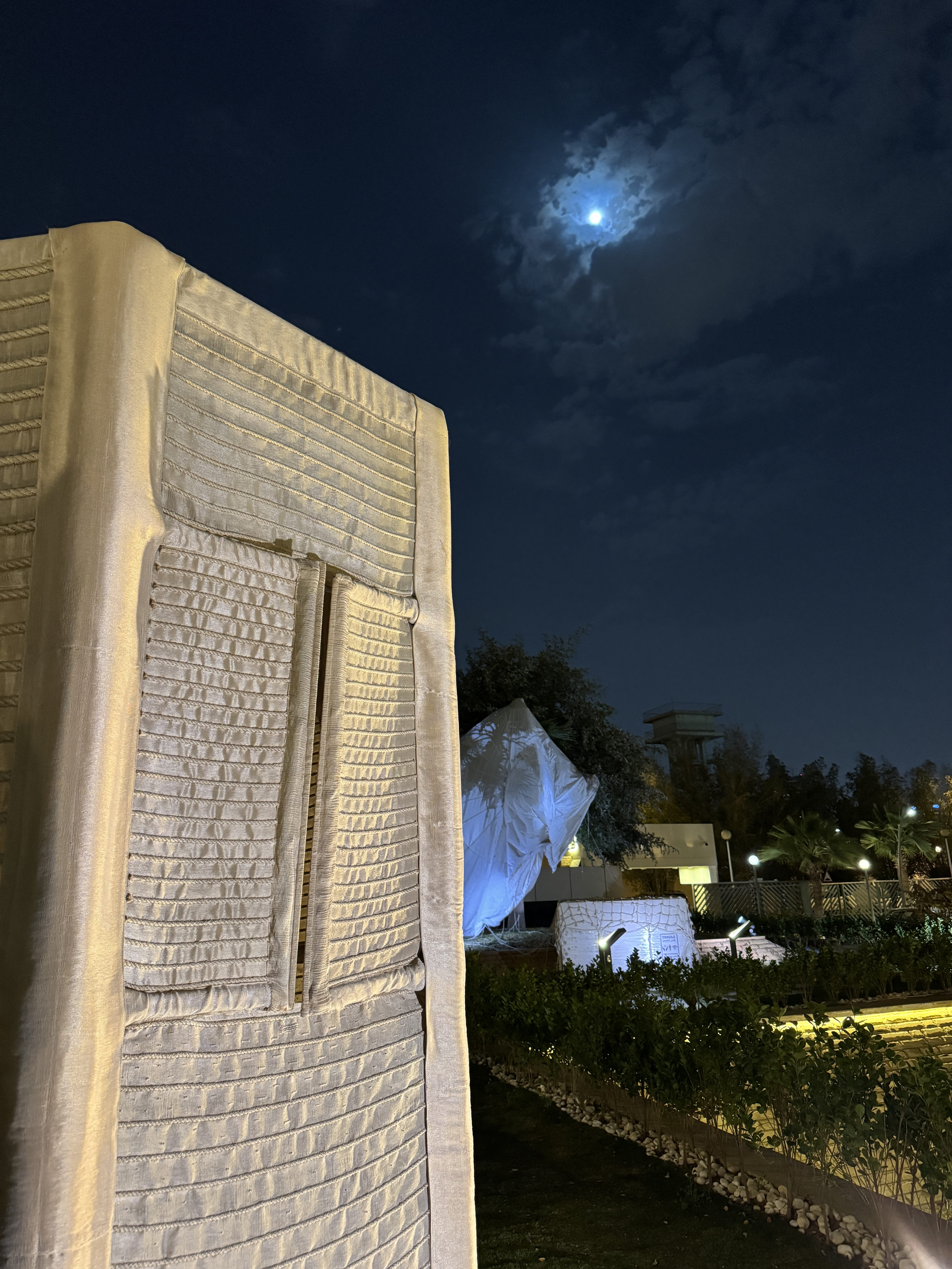 Exploring Nature-Inspired Design with Maryam AlJomairi